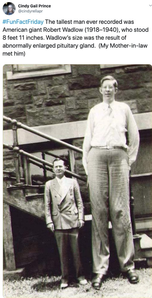 robert wadlow - Cindy Gail Prince The tallest man ever recorded was American giant Robert Wadlow 19181940, who stood 8 feet 11 inches. Wadlow's size was the result of abnormally enlarged pituitary gland. My Motherinlaw met him