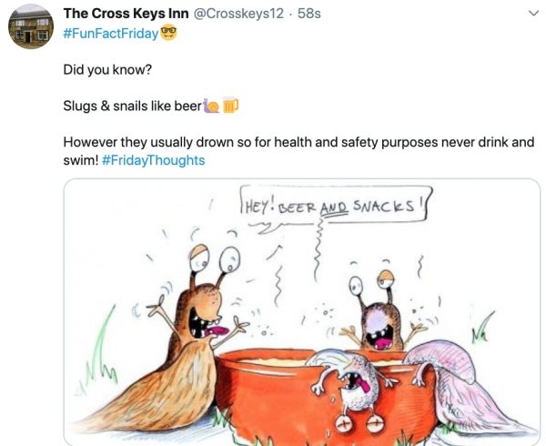 cartoon - The Cross Keys Inn Did you know? Slugs & snails beer However they usually drown so for health and safety purposes never drink and swim! They! Beer And Snacks! .