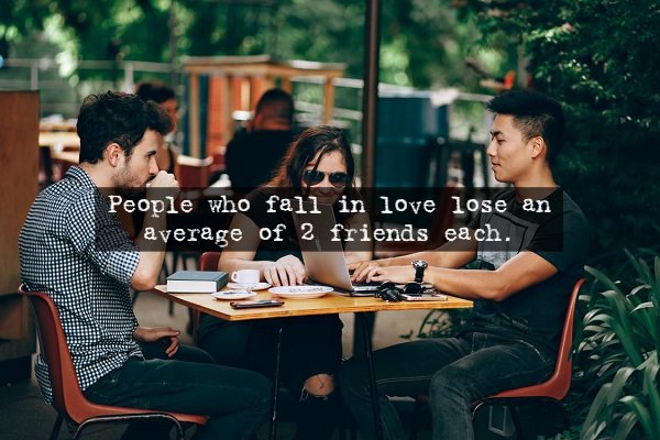 people in coffee shop - People who fall in love lose an average of 2 friends each. 2011