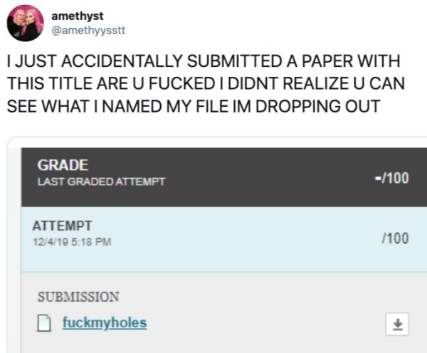 software - amethyst I Just Accidentally Submitted A Paper With This Title Are U Fucked I Didnt Realize U Can See What I Named My File Im Dropping Out Grade Last Graded Attempt 100 Attempt 12419 7100 Submission fuckmyholes