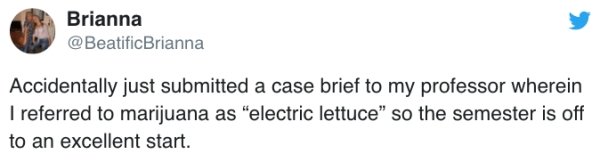 meme bermuda triangle tweet - Brianna Accidentally just submitted a case brief to my professor wherein I referred to marijuana as electric lettuce so the semester is off to an excellent start.