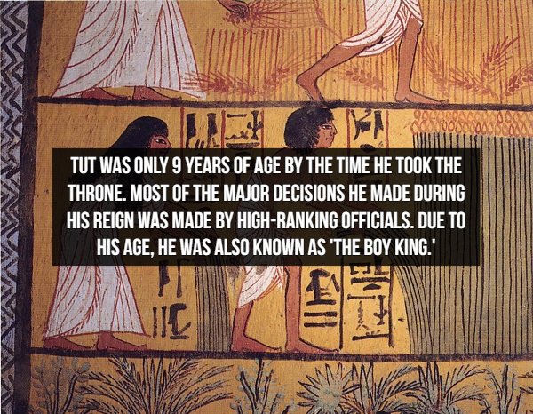 ancient egyptian daily life - Tut Was Only 9 Years Of Age By The Time He Took The Throne. Most Of The Major Decisions He Made During His Reign Was Made By HighRanking Officials. Due To His Age, He Was Also Known As The Boy King.