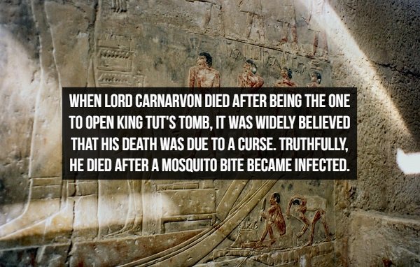 archaeological site - When Lord Carnarvon Died After Being The One To Open King Tut'S Tomb, It Was Widely Believed That His Death Was Due To A Curse. Truthfully. He Died After A Mosquito Bite Became Infected.