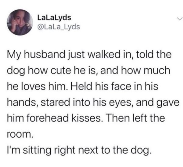 document - LaLaLyds My husband just walked in, told the dog how cute he is, and how much he loves him. Held his face in his hands, stared into his eyes, and gave him forehead kisses. Then left the room. I'm sitting right next to the dog.