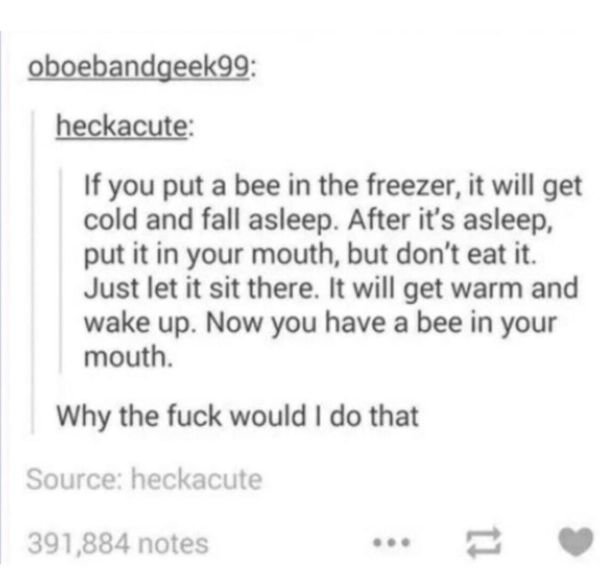 stuff that never happened - oboebandgeek99 heckacute If you put a bee in the freezer, it will get cold and fall asleep. After it's asleep, put it in your mouth, but don't eat it. Just let it sit there. It will get warm and wake up. Now you have a bee in y