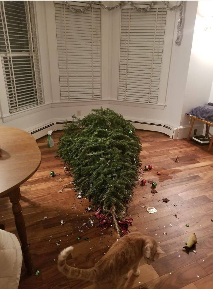 ruined christmas tree