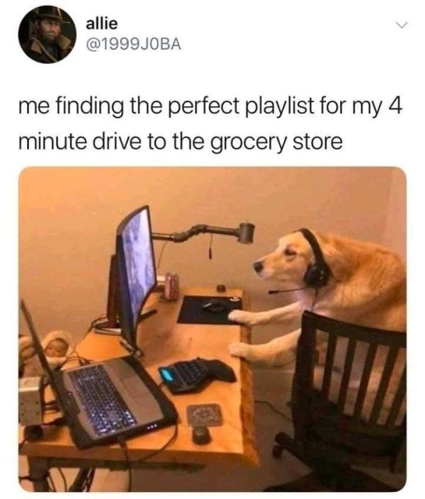 perfect playlist meme - allie Joba me finding the perfect playlist for my 4 minute drive to the grocery store