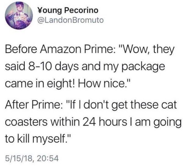 document - Young Pecorino Bromuto Before Amazon Prime "Wow, they said 810 days and my package came in eight! How nice." After Prime "If I don't get these cat coasters within 24 hours I am going to kill myself." 51518,