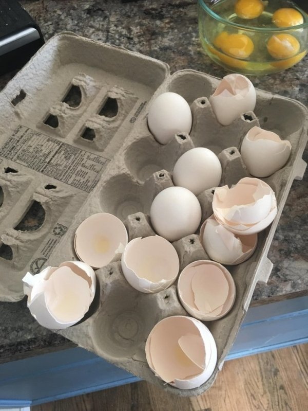eggs in a half carton