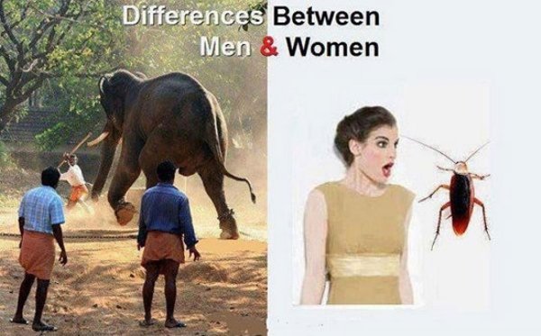 pack animal - Differences Between Men & Women