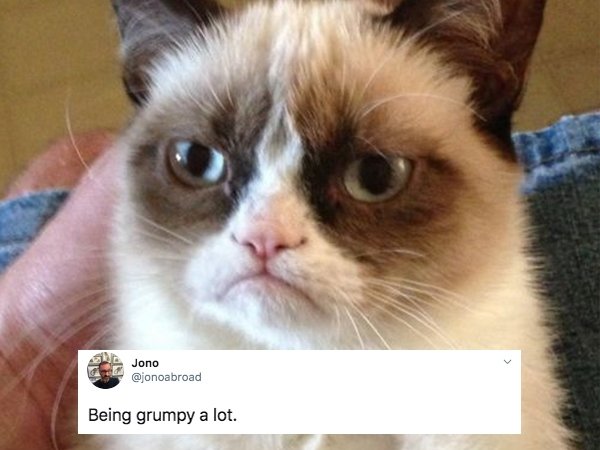 appropriate language meme - Jono Being grumpy a lot.