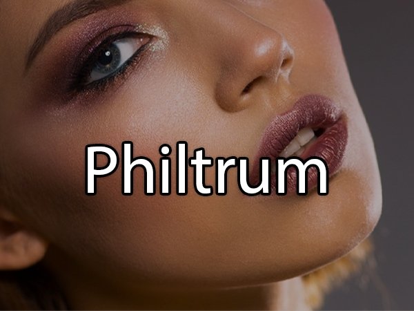 lip - Philtrum
