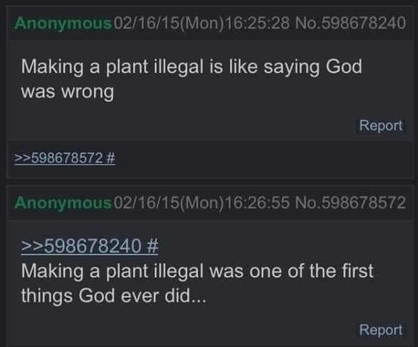 first thing god did was make a plant illeg - Anonymous 021615Mon28 No.598678240 Making a plant illegal is saying God was wrong Report >>598678572 # Anonymous 021615Mon55 No.598678572 >>598678240 # Making a plant illegal was one of the first things God eve