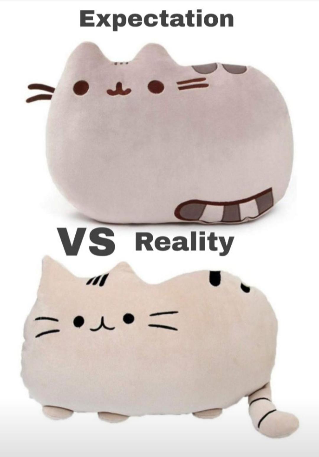 pusheen cat stuffed animal - Expectation Vs Reality . .