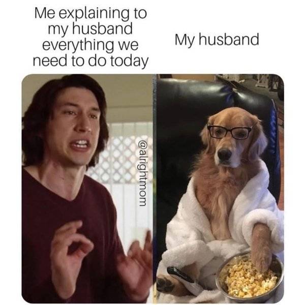 funny golden retriever - Me explaining to my husband everything we need to do today My husband