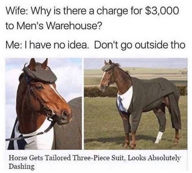 horse gets tailored three piece suit - Wife Why is there a charge for $3,000 to Men's Warehouse? Me I have no idea. Don't go outside tho Horse Gets Tailored ThreePiece Suit, Looks Absolutely Dashing