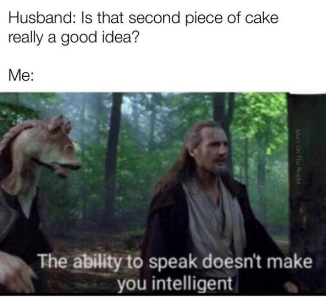 ability to speak does not make you intelligent - Husband Is that second piece of cake really a good idea? Me Mom On The Rocks The ability to speak doesn't make you intelligent