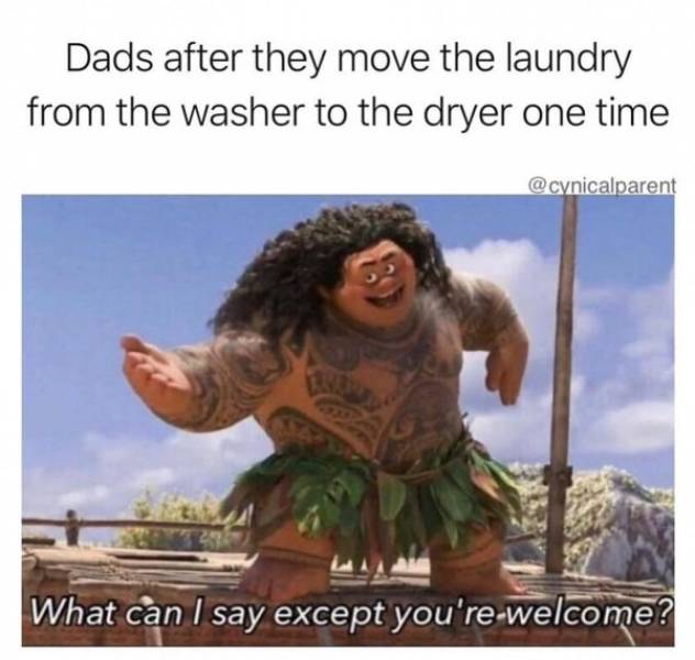 your welcome moana memes - Dads after they move the laundry from the washer to the dryer one time What can I say except you're welcome?