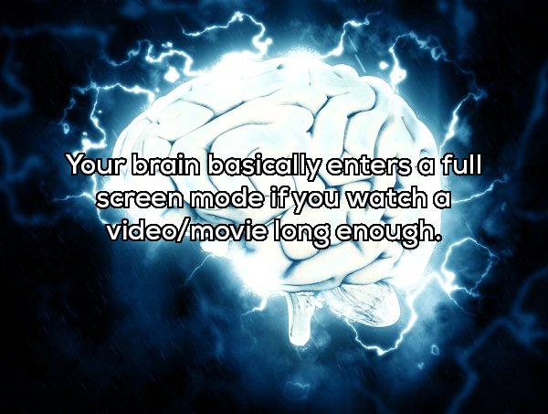 Your brain basically enters a full screen mode if you watch a videomovie long enough.
