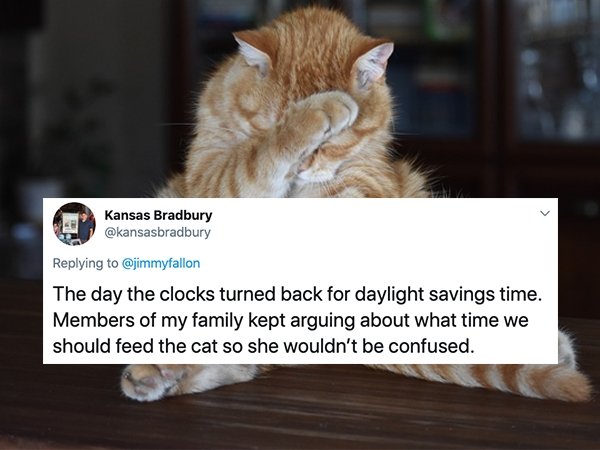 Kansas Bradbury The day the clocks turned back for daylight savings time. Members of my family kept arguing about what time we should feed the cat so she wouldn't be confused.