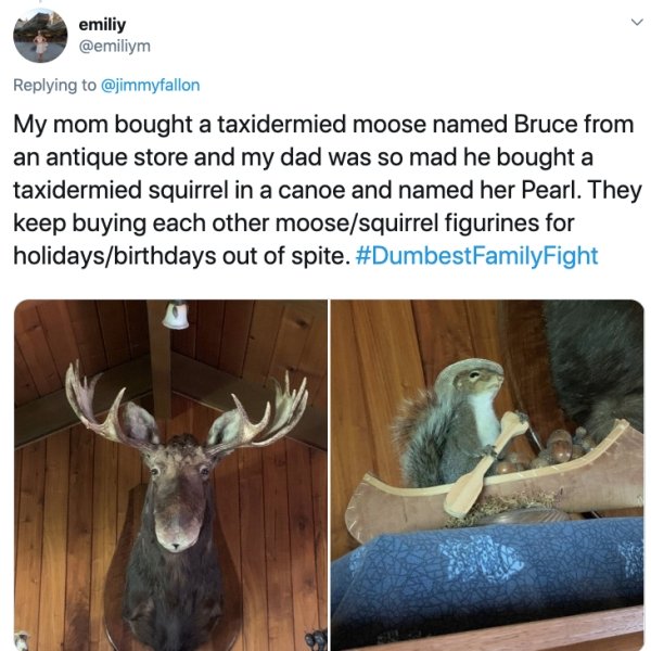 photo caption - emiliy My mom bought a taxidermied moose named Bruce from an antique store and my dad was so mad he bought a taxidermied squirrel in a canoe and named her Pearl. They keep buying each other moosesquirrel figurines for holidaysbirthdays out