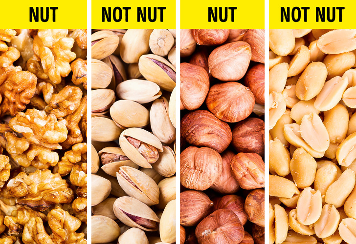 Mixed Nuts AS - Nut Not Nut Nut Not Nut