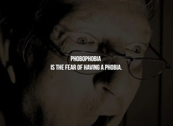 glasses - Phobophobia Is The Fear Of Having A Phobia.
