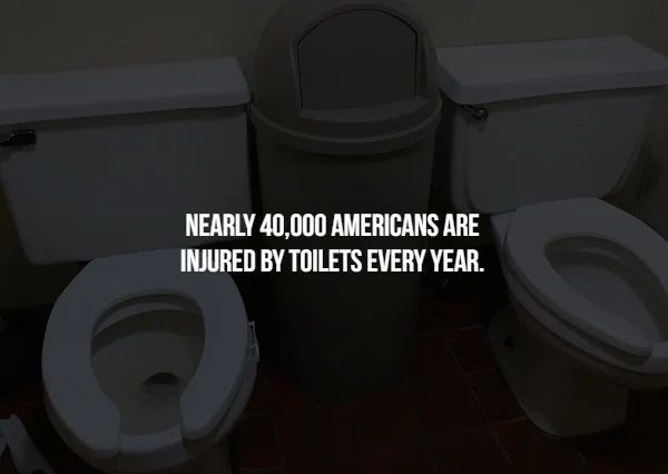 toilet seat - Nearly 40,000 Americans Are Injured By Toilets Every Year.