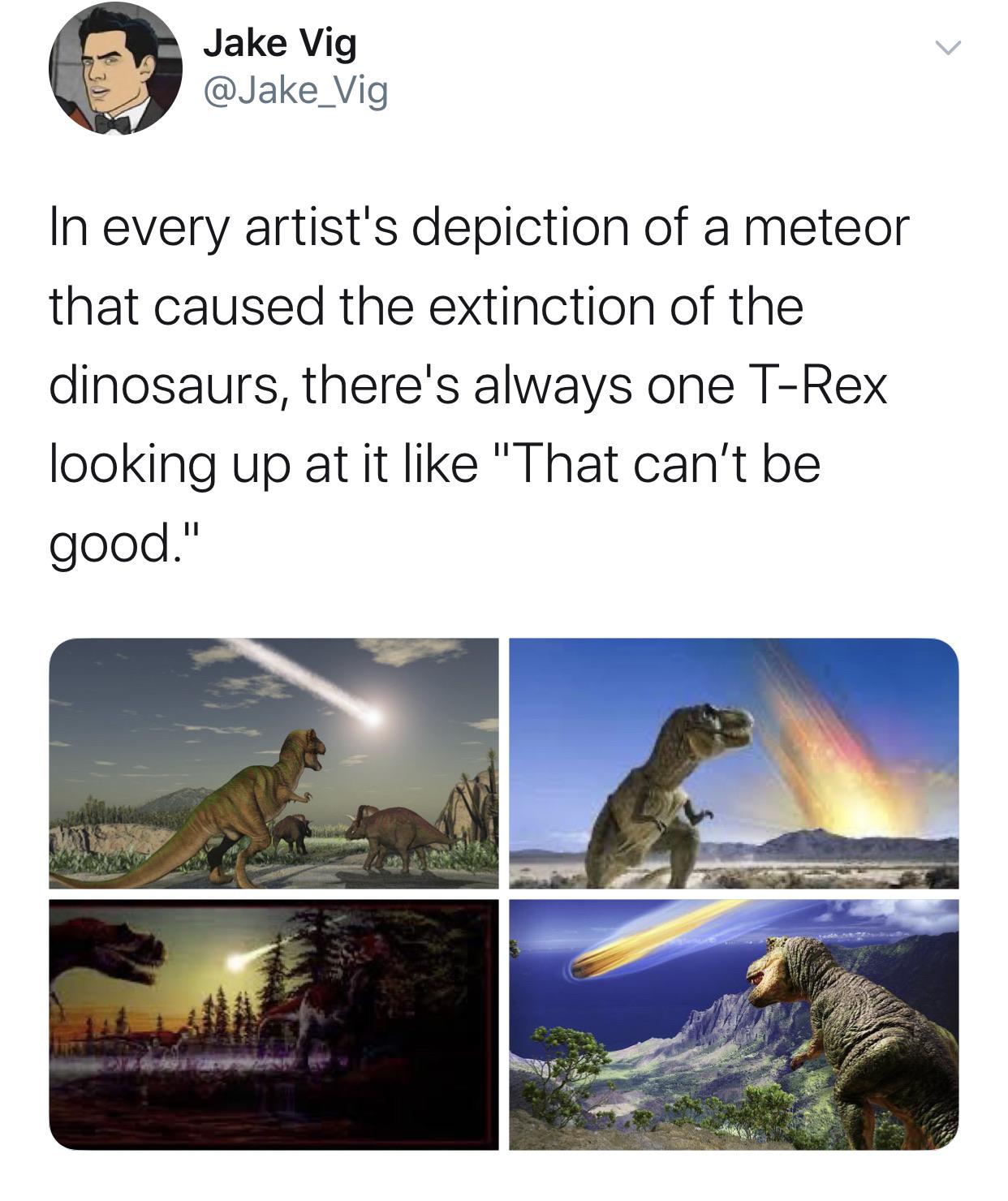 dinosaur aye bruh that shit looks kinda close - Jake Vig In every artist's depiction of a meteor that caused the extinction of the dinosaurs, there's always one TRex looking up at it "That can't be good."