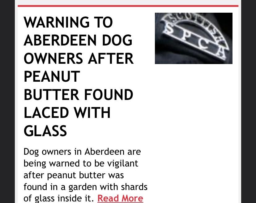 green solution - Warning To Aberdeen Dog Owners After Peanut Butter Found Laced With Glass Dog owners in Aberdeen are being warned to be vigilant after peanut butter was found in a garden with shards of glass inside it. Read More