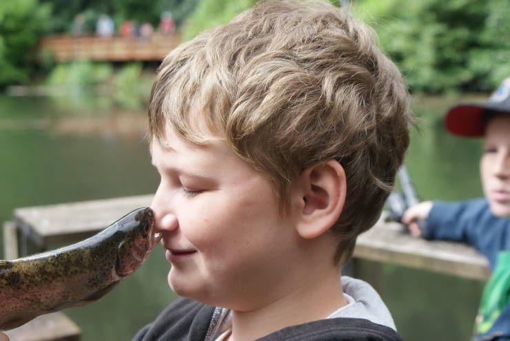 Perfectly timed photo of a fish biting a boys nose