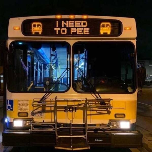 school bus - I Need To Pee 99