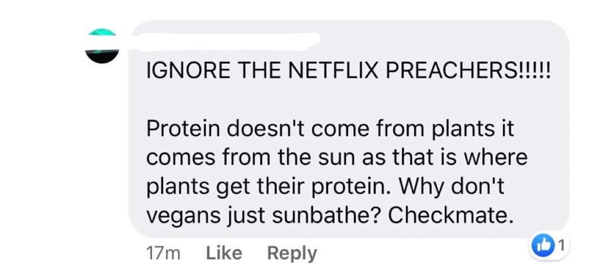 iceberg model - Ignore The Netflix Preachers!!!!! Protein doesn't come from plants it comes from the sun as that is where plants get their protein. Why don't vegans just sunbathe? Checkmate. 17m