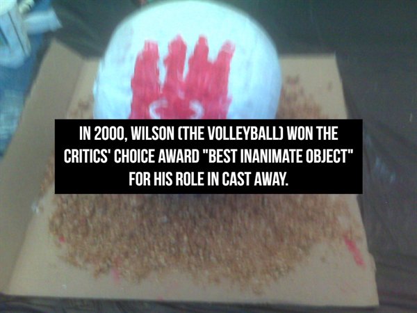 new trolls il meglio - In 2000, Wilson The Volleyball Won The Critics' Choice Award "Best Inanimate Object" For His Role In Cast Away.