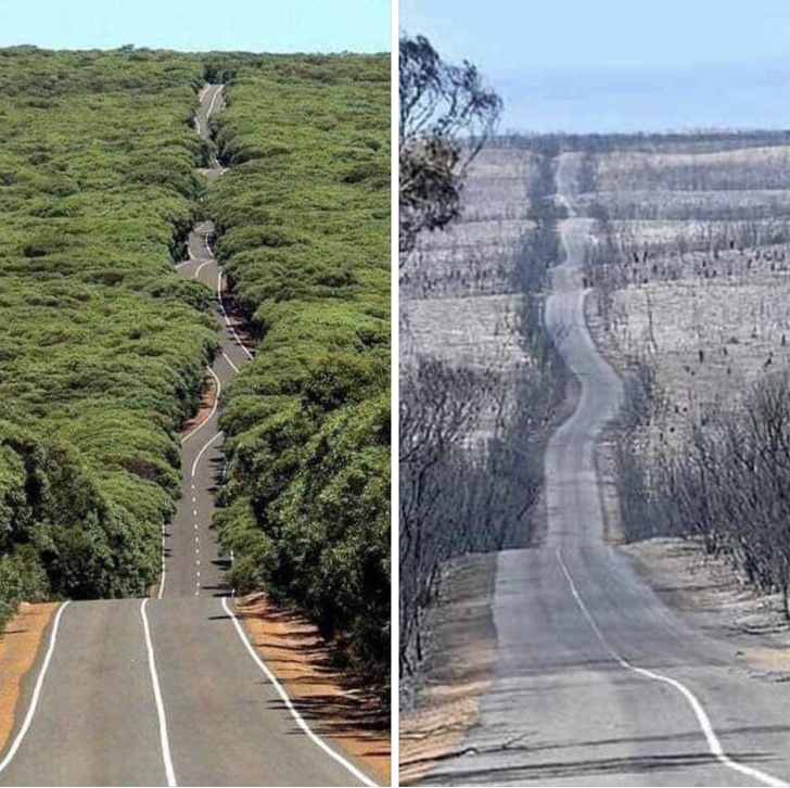 flinders chase national park