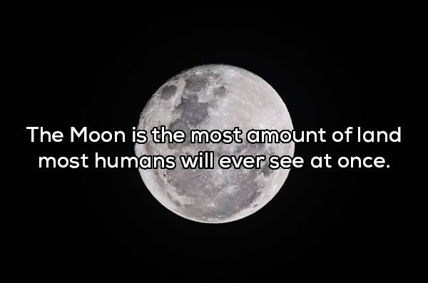 moon - The Moon is the most amount of land most humans will ever see at once.