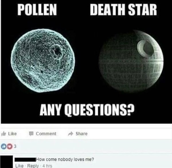 sphere - Pollen Death Star Any Questions? e Comment 003 How come nobody loves me? 4 hrs