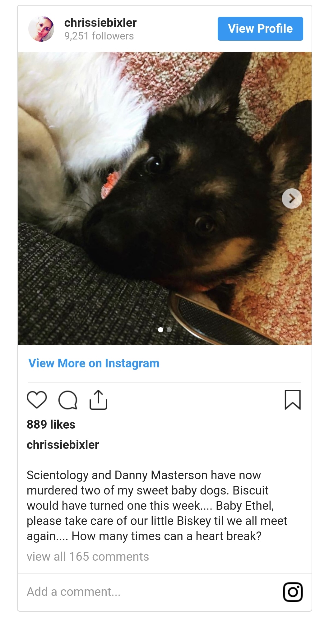 photo caption - chrissiebixler 0251 ers View Profile View More on Instagram Qu 889 chrissiebixler Scientology and Danny Masterson have now murdered two of my sweet baby dogs. Biscuit would have turned one this week.... Baby Ethel, please take care of our 