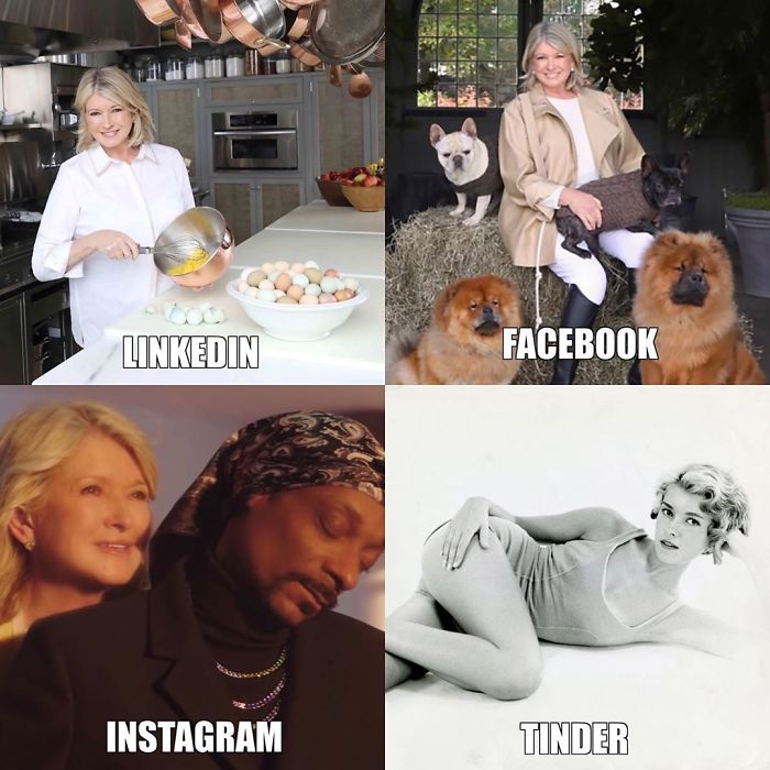 Martha Stewart - Linkedin Facebook Instagram Tinder
