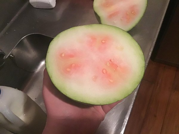 watermelon