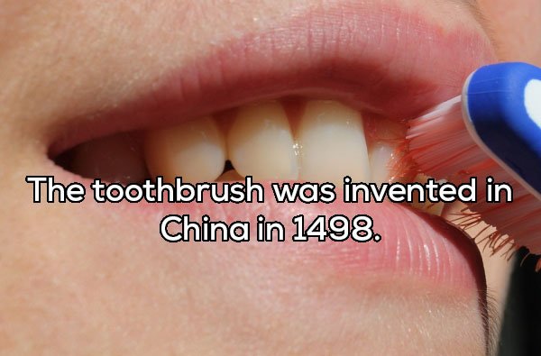 20 Fascinating Facts to Shove in Your Head.