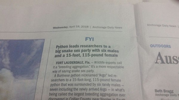 document - Anchor Wednesday, Anchorage Daily News Daily News Outdoors Aus Fyi Python leads researchers to a big snake sex party with six males and a 15foot, 115pound female Fort Lauderdale, Fla. Wildlife experts cali it a "breeding aggregation. It's a mor