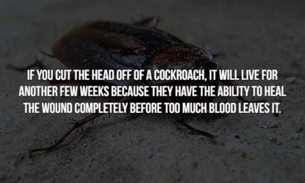 17 Disturbing Facts to Creep You Out.