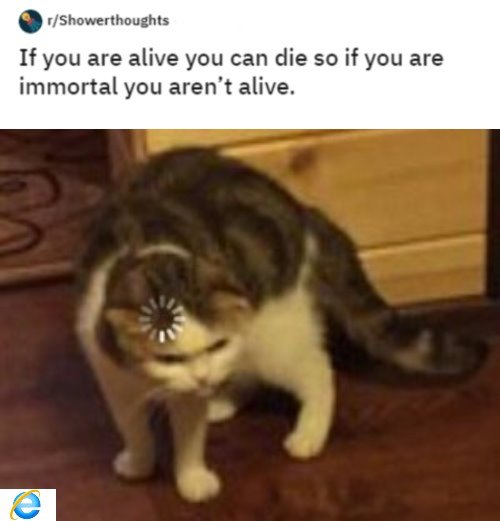 buffering cat meme - 1Showerthoughts If you are alive you can die so if you are immortal you aren't alive. e