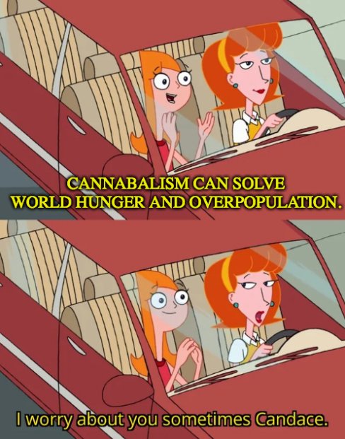 worry about you candace meme - Cannabalism Can Solve World Hunger And Overpopulation. I worry about you sometimes Candace.