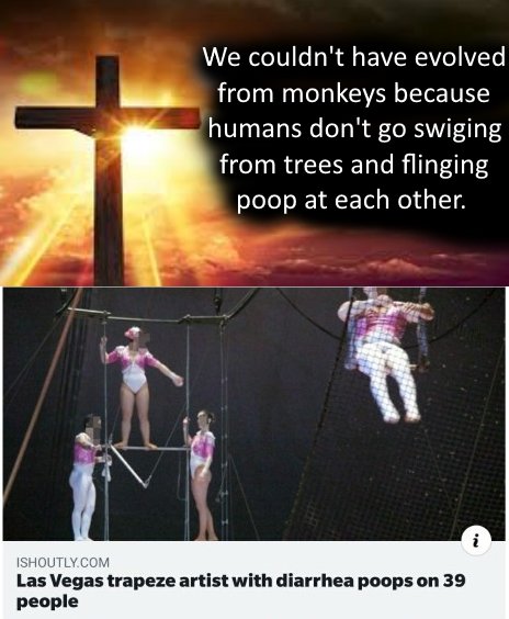 trapeze artist with diarrhea - We couldn't have evolved from monkeys because 'humans don't go swiging from trees and flinging poop at each other. Ishoutly.Com Las Vegas trapeze artist with diarrhea poops on 39 people