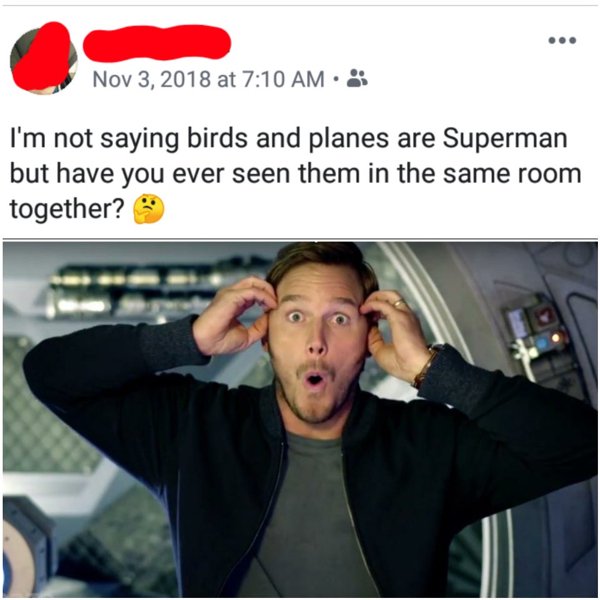 at I'm not saying birds and planes are Superman but have you ever seen them in the same room together? 9