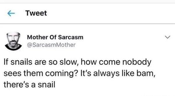 diagram - f Tweet Mother Of Sarcasm Mother If snails are so slow, how come nobody sees them coming? It's always bam, there's a snail