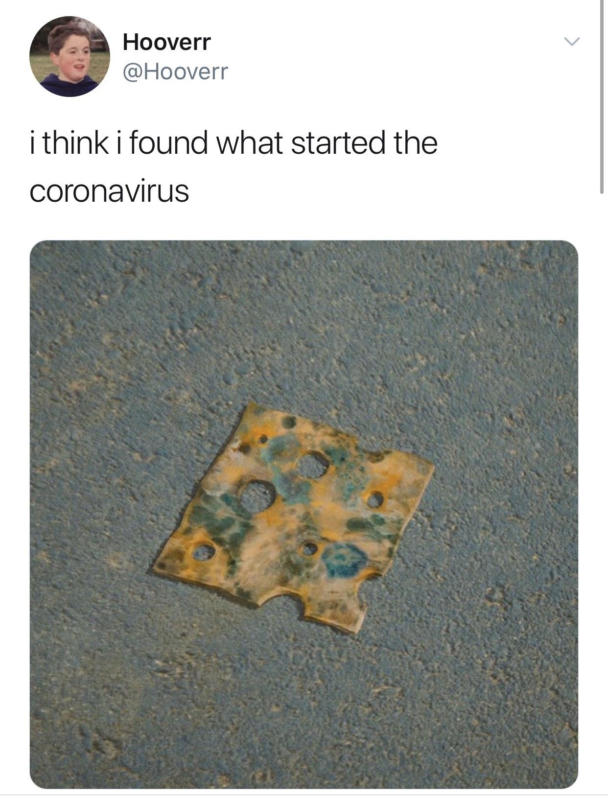 material - Hooverr i think i found what started the coronavirus