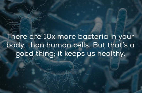 There are 10x more bacteria in your body, than human cells. But that's a good thing; it keeps us healthy.